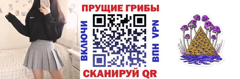 Псилоцибиновые грибы мицелий  Алагир 